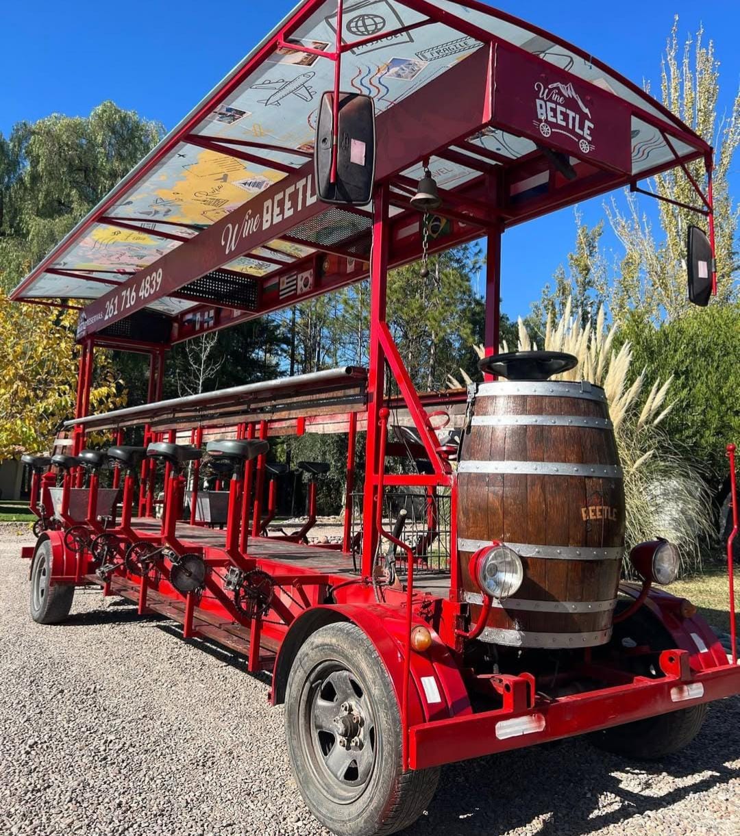 Beetle – Bike & Wine Tour en Mendoza
