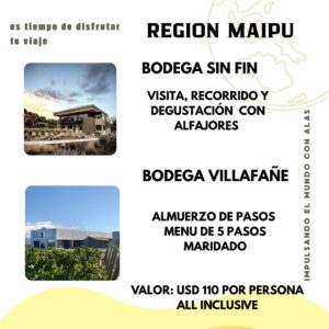 Tour en Maipú: Degustación con Alfajores en Bodega Sin Fin y Almuerzo de 5 Pasos en Villafañe