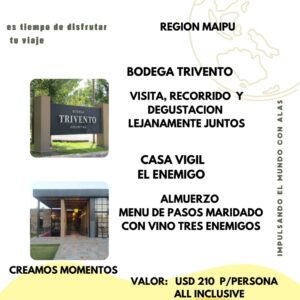 Tour Maipú: Bodega Trivento y Almuerzo en Casa Vigil - El Enemigo
