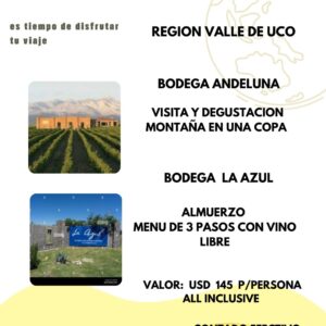 Tour Valle de Uco: Degustación en Bodega Andeluna y Almuerzo con Vino Libre en Bodega La Azul
